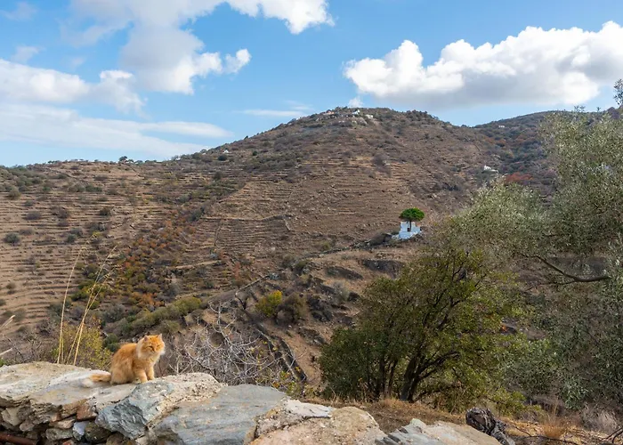 Apartment Maria In The Castle Kea Ioulis
